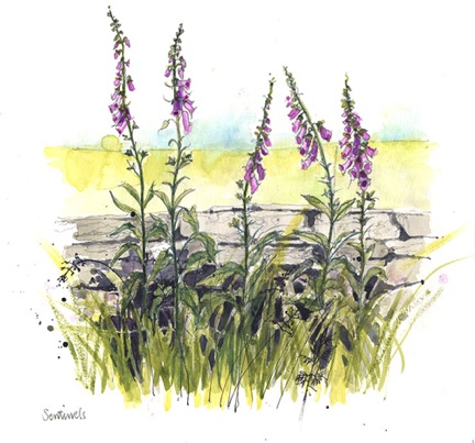 sentinels  &copy; ll